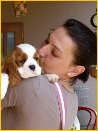 EMILL Buco Cassanova