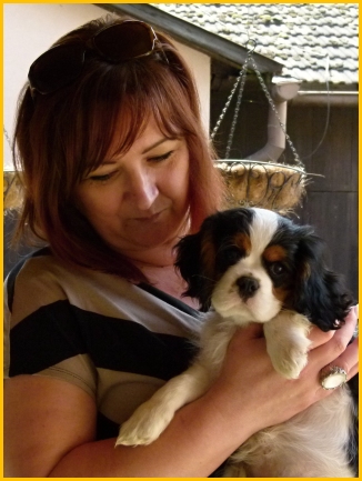 EXPERT Buco Cassanova