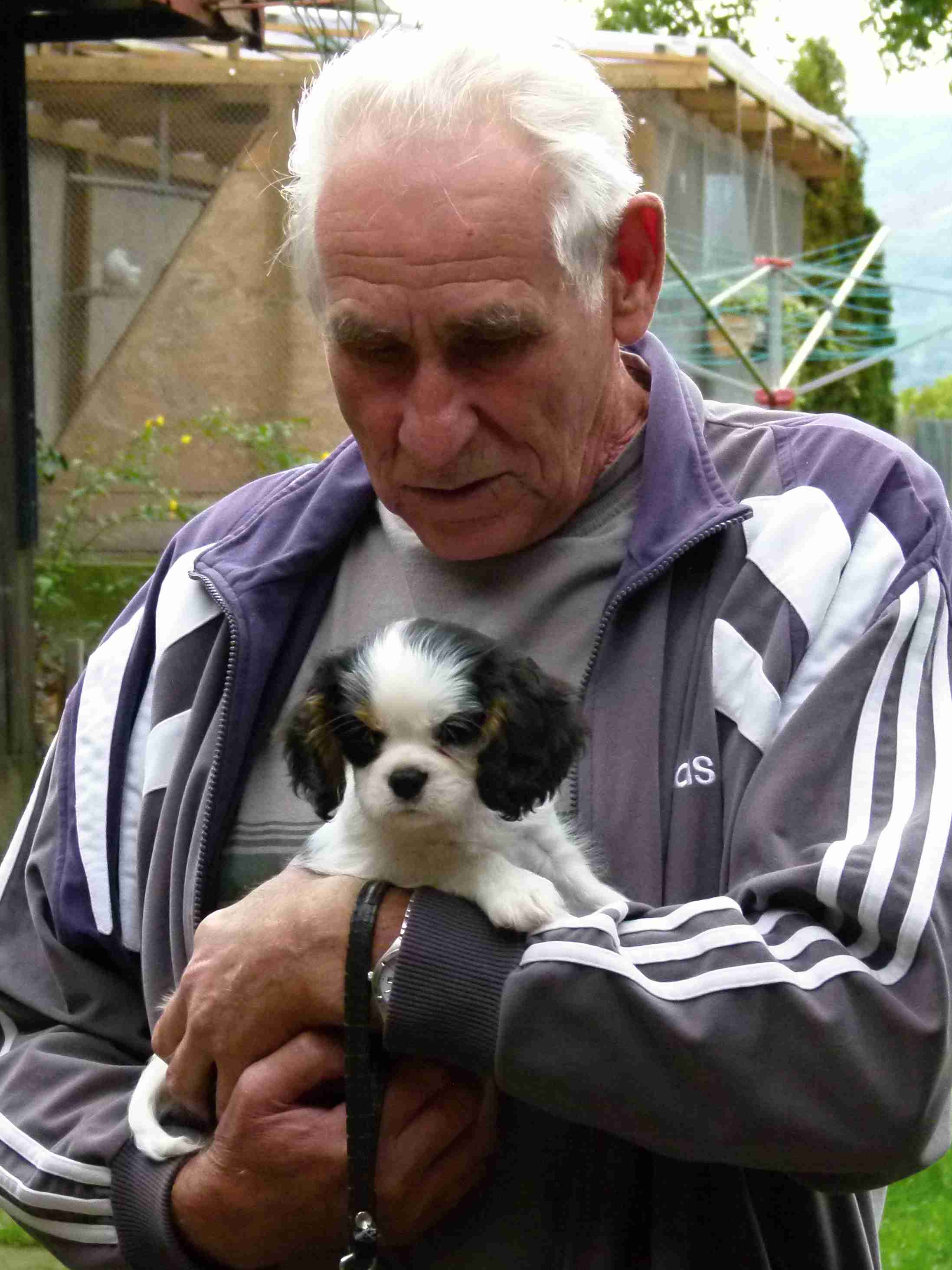 Flippy Buco Cassanova