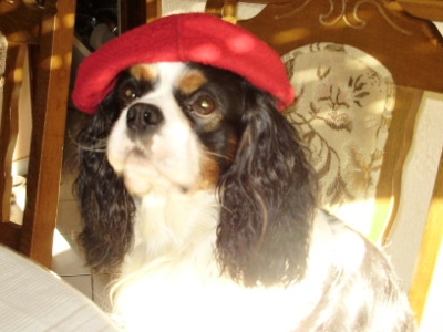 ATHOS Buco Cassanova