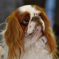 Mermoz der Rocher D´Agerna