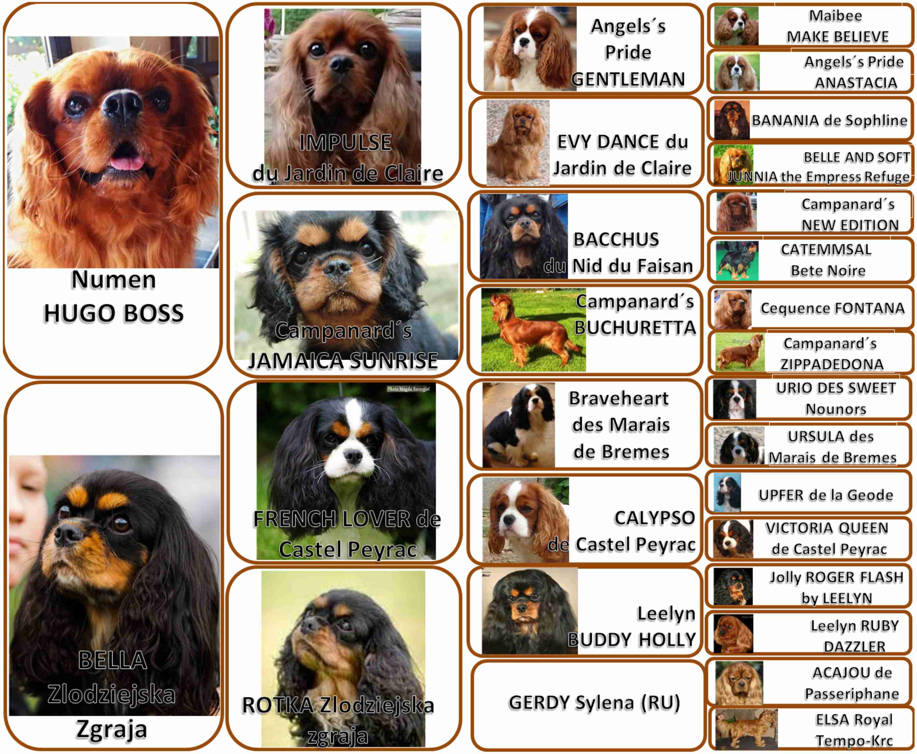 UZO Zlodziejska Zgraja